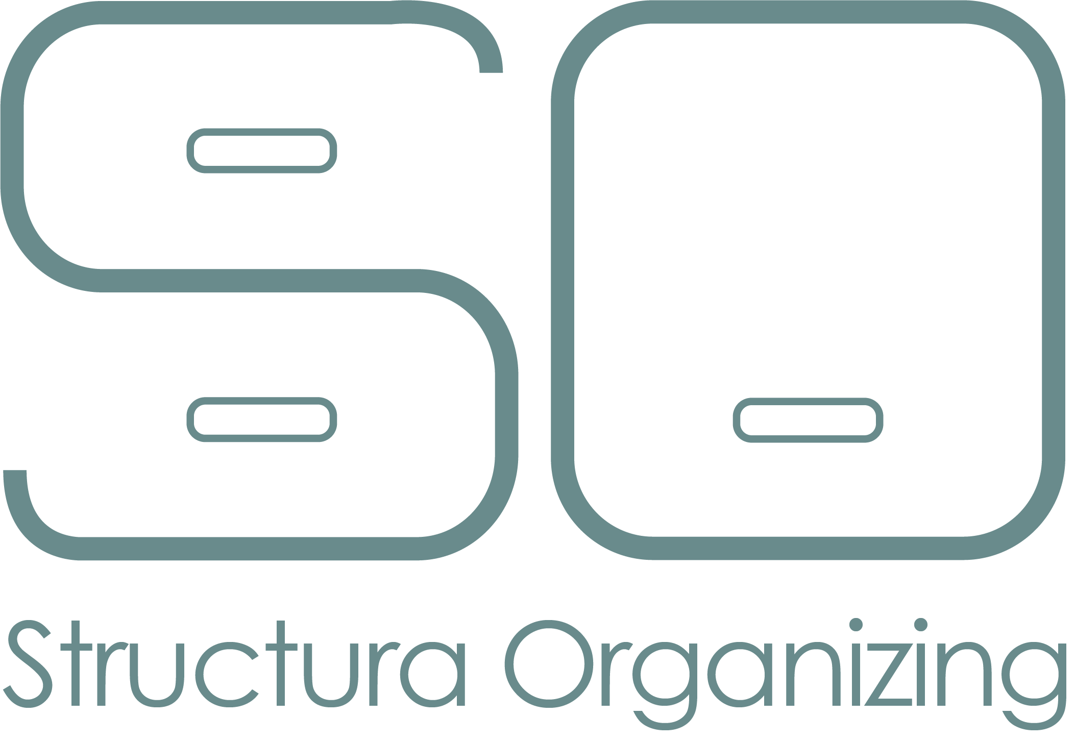 Structura Organizing
